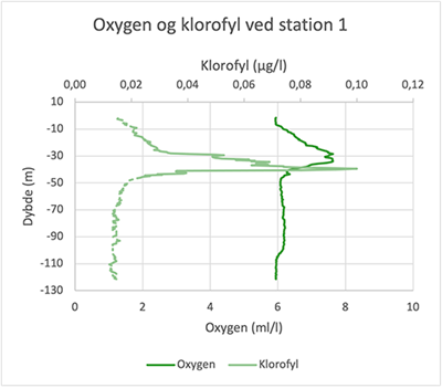 På grafen herunder ses, at primærpositionen ligger under springlaget. Det interessante ved denne graf er, at selvom klorofyl peaker ved 40 meters dybde, så er oxygenmængden højeste ved 28 til 32 meters dybde. Denne forskel kan forklares ved, at primærproduktionen er størst i intervallet, hvor vi finder mest oxygen, men at de alger, der findes i dette lag, skygger for plankton, der ligger længere nede i vandsøjlen. Dette betyder, at selvom klorofylindholdet er højere, så er lysforholdene begrænset i et sådan omfang, at det begrænser fotosyntesen.
