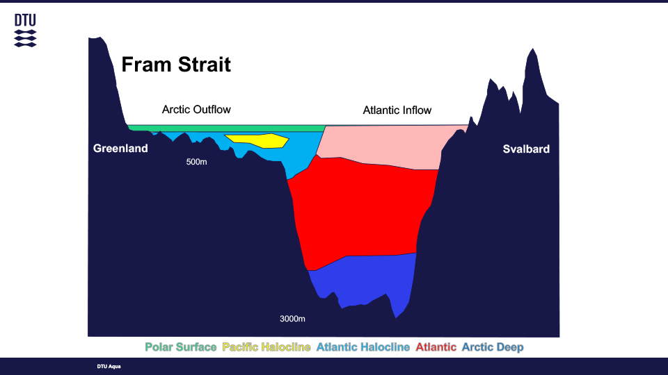 FramStrædet.png: Profil gennem Fram Strædet med fem forskellige vandmasser, hver med deres egen karakteristiske salinitet og strømretning (kilde: Colin Stedmon).