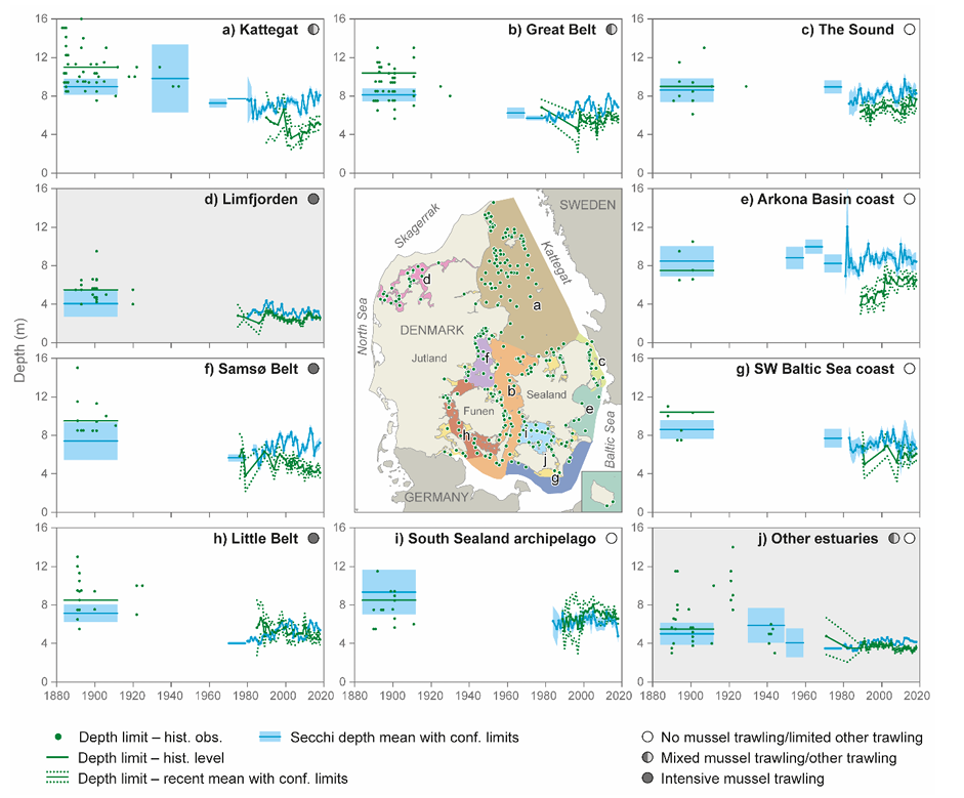 Krause-Jensen, D., Duarte, C. M., Sand-Jensen, K., & Carstensen, J. (2021). Century-long records reveal shifting challenges to seagrass recovery. Global Change Biology, 27(3), 563-575. https://doi.org/10.1111/gcb.15440
