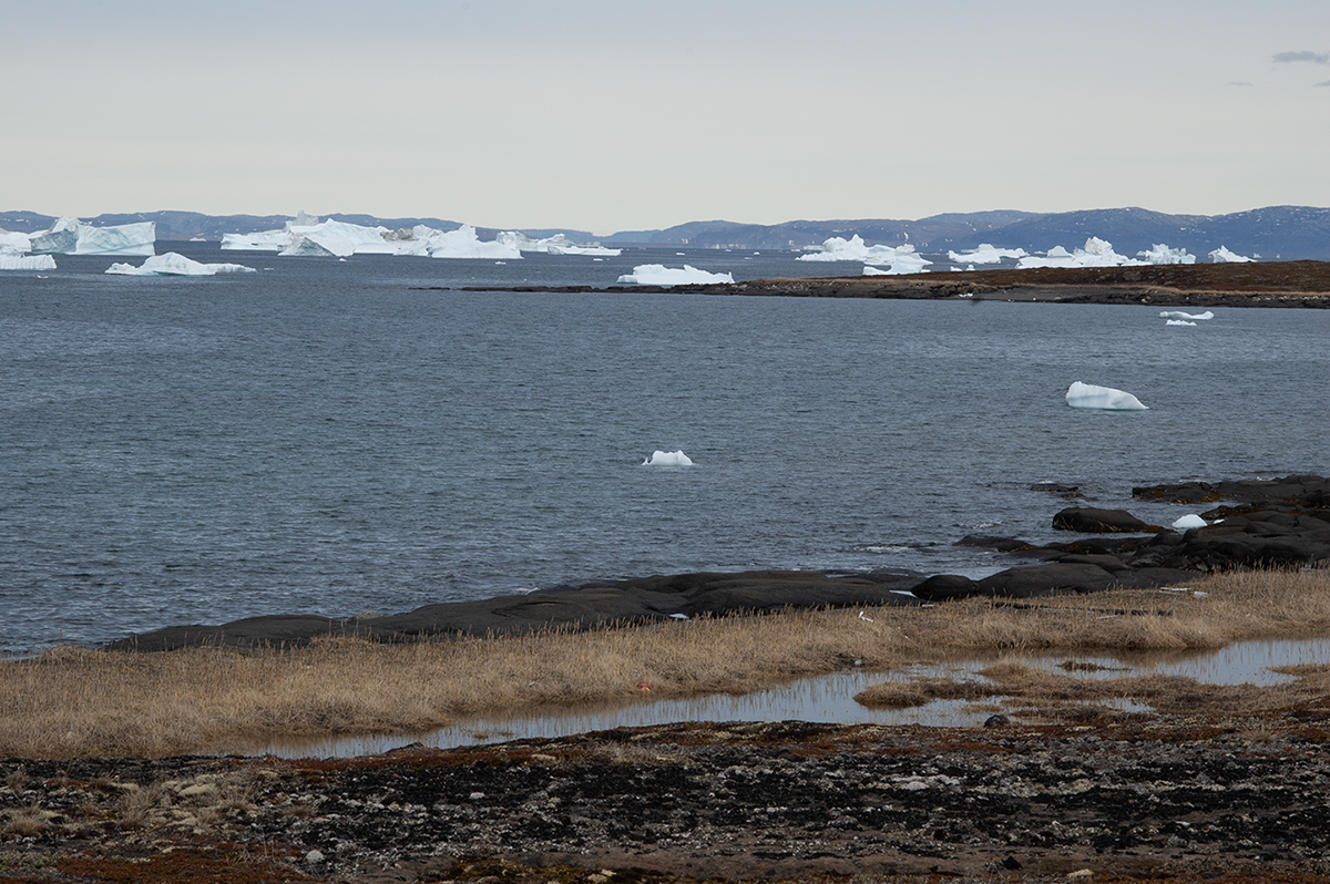 Kitsisunnguit (Grønne Ejland). Fredet øgruppe og Ramsarområde i Disko Bugt (foto: Uffe Wilken).