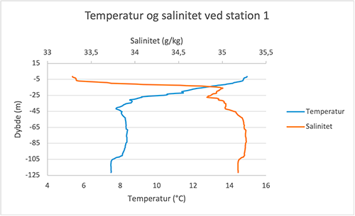 Herunder ses i grafen over salinitet og temperatur, at springlaget ligger mellem 5 og 15 meters dybde, hvor temperaturen falder fra 14,8 °C til 11,4 °C samtidig med at saliniteten stiger fra 33,3 g/kg til 35 g/kg. Det er således tydeligt, at det det køligere og mere saltholdige vand ligger under det varmere ferske vand.