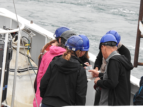 Forskere og gymnasielærere undersøger en nyhentet vandprøve fra havbunden (foto: Britta Gammelgaard).