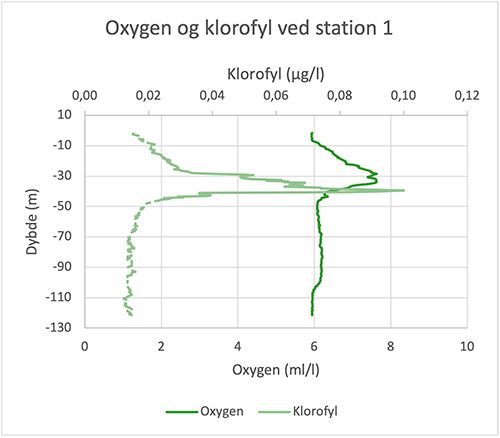 På grafen herunder ses, at primærpositionen ligger under springlaget. Det interessante ved denne graf er, at selvom klorofyl peaker ved 40 meters dybde, så er oxygenmængden højeste ved 28 til 32 meters dybde. Denne forskel kan forklares ved, at primærproduktionen er størst i intervallet, hvor vi finder mest oxygen, men at de alger, der findes i dette lag, skygger for plankton, der ligger længere nede i vandsøjlen. Dette betyder, at selvom klorofylindholdet er højere, så er lysforholdene begrænset i et sådan omfang, at det begrænser fotosyntesen. 