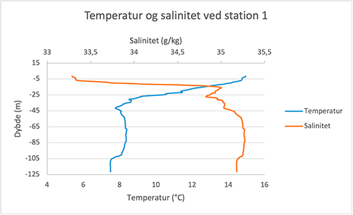 Herunder ses i grafen over salinitet og temperatur, at springlaget ligger mellem 5 og 15 meters dybde, hvor temperaturen falder fra 14,8 °C til 11,4 °C samtidig med at saliniteten stiger fra 33,3 g/kg til 35 g/kg. Det er således tydeligt, at det det køligere og mere saltholdige vand ligger under det varmere ferske vand. 