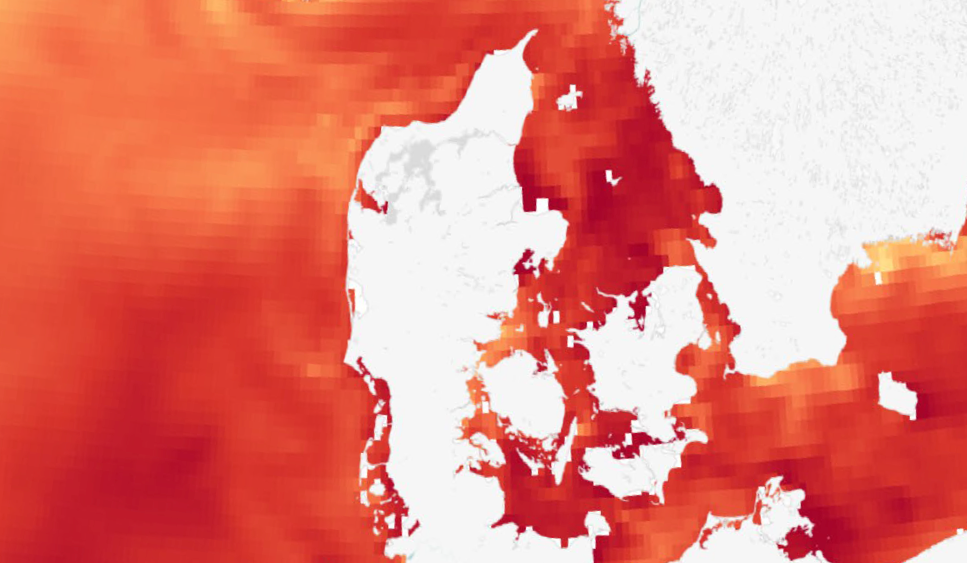 Temperaturafvigelse i overfladevandet fra den gennemsnitlige klimanormali havet omkring Danmark den 29. juni 2026.