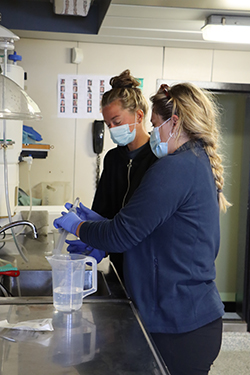 Forskerne tager under hele togtet vandprøver. Prøverne filtreres og skal efter hjemkomst analyseres for miljøDNA (eDNA). Fra venstre: Mette Carlsen og Ida-Marie Mollerup.