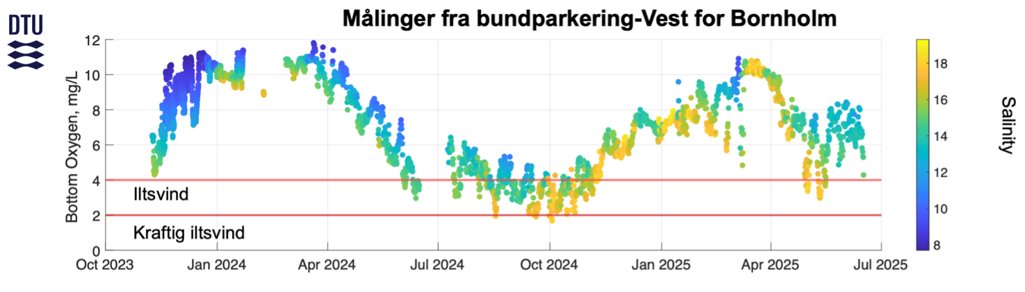 Tidsserie af målinger fra mens bøjen var parkeret på havbunden, hvor den målte bl.a. temperatur, saltindhold (”Salinity” vises her som farve) og ilt (”Bottom Oxygen” y-akse). Kilde: Colin Stedmon, DTU Aqua.