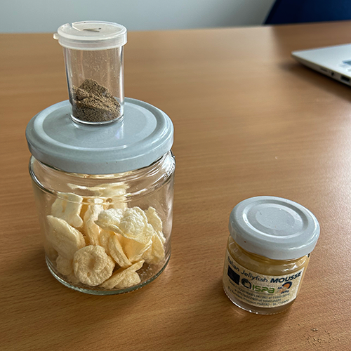 Næringstilskudsprodukter fra gopler. Stor beholder til venstre: Marengs. Lille beholder øverst: Salt fra gopler med et strejf af spidskommen. Højre: Goplepesto. Foto: Jamileh Javidpour.