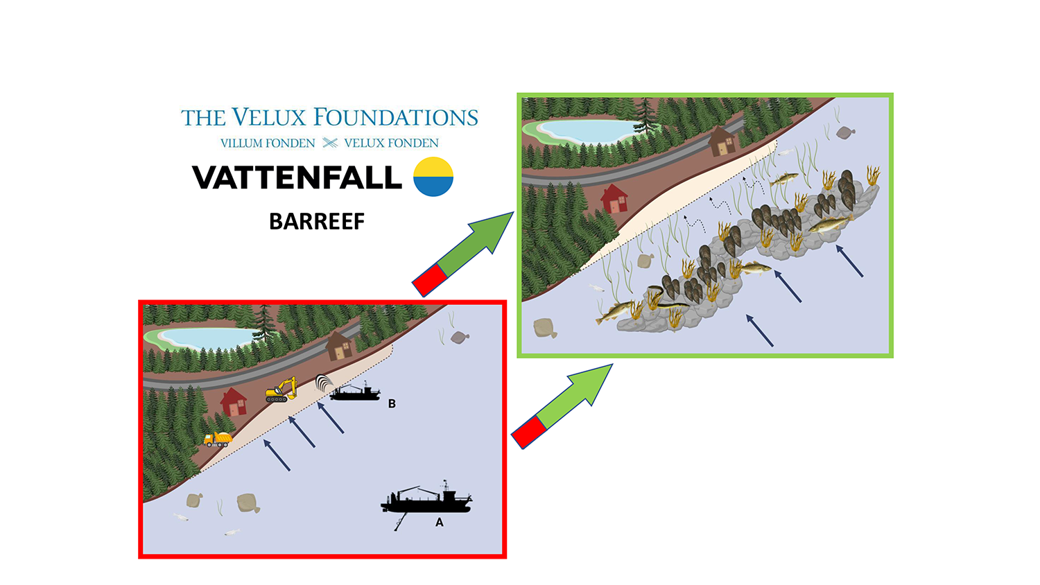 BARREEF ved Samsø. Illustration: Thomas Hjort Rasmussen