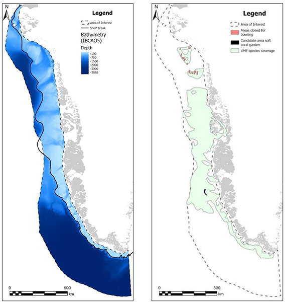Kortet til venstre viser dybdeforholdene langs den vestgrønlandske kyst. Kortet til højre viser områder med uforstyrret bentisk miljø med flere sårbare marine økosystemarter (VME) (grøn) i farvandene ved Vestgrønland, fx blødkoraller (sort), og områder der er lukkede for trawling (pink). Kort: Nadescha Zwerschke. Fra rapporten “Marine mining in Greenland”.