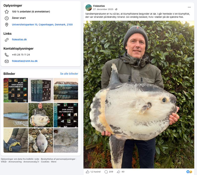 Screendump fra Henrik Carls Facebookside med klumpfisk