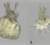 Metamorfoseprocessen: 1. Svømmende søpindsvinelarve, 2. Larve med ungdomsorganer under udvikling, 3. Aktiv metamorfose, 4. Ungt søpindsvin, der lever på havbunden (fotos: Sinja Rist).
